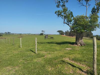 Stio para Venda, em Oscar Bressane, bairro rea Rural de Oscar Bressane