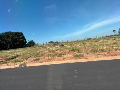 Terreno para Venda, em Mar�lia, bairro Jardim Bot�nico
